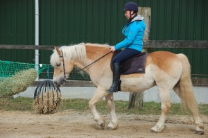 Paardenmassage van Willem aan Moniek onder deskundige begeleiding