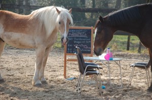 workshop PaardenPraat